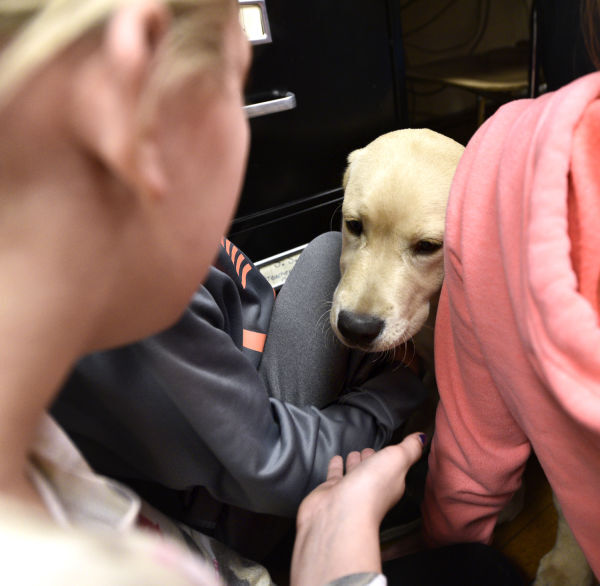 Washington Elementary guide dog training